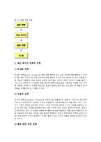 [광고표현전략][광고표현전략과 수사학][광고표현전략과 메시지][광고표현전략과 공명][여성역할]광고표현전략과 수사학, 광고표현전략과 메시지, 광고표현전략과 공명, 광고표현전략과 여성역할 분석-5