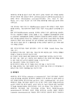 [정보화 사업평가][교육정보화 사업평가][미국정보화 사업평가][TOP][행정정보화 사업평가][정보화사업 정책평가]교육정보화 사업평가, 미국정보화 사업평가(TOP), 행정정보화 사업평가, 정보화사업 정책평가-15