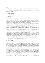 [기업 제품][기업 제품캐릭터][기업 제품구매][기업 제품개발][기업 제품지각위험][기업 제품마케팅전략]기업 제품명, 기업 제품캐릭터, 기업 제품구매, 기업 제품개발, 기업 제품지각위험, 기업 제품마케팅전략-9