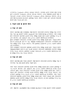 [기업 규제][대기업 규제][벤처기업 규제][언론기업 규제][관광기업 규제]대기업 규제, 벤처기업 규제, 언론기업 규제, 관광기업 규제 분석(대기업 규제, 벤처기업 규제, 언론기업 규제, 관광기업 규제)-9