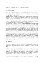 [펀드][엄브렐라펀드][엄브렐러펀드][벌처펀드][사모펀드[인덱스펀드][선박펀드]엄브렐라펀드(엄브렐러펀드), 사모펀드, 벌처펀드, 인덱스펀드, 다이아몬드펀드, 뮤추얼펀드, 선박펀드, 헤지(헷지, 헷징)펀드 분석-13