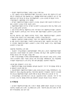 [은행경영][은행경영 분석][은행경영 외부지배][은행경영 BIS자기자본규제제도][은행경영 전략]은행경영의 구조, 은행경영의 분석, 은행경영의 외부지배, 은행경영의 BIS자기자본규제제도, 은행경영의 전략 분석-7