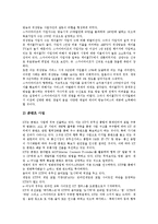 [사업전략][전자상거래 사업전략][인터넷 사업전략][일본 ASP비즈니스 사업전략[DMB 사업전략][통신 사업전략]전자상거래 사업전략, 인터넷 사업전략, 일본 ASP비즈니스 사업전략, DMB 사업전략, 통신사업전략-14