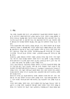 [정보화 수준평가][정보화 수준평가 지표][정보화 수준평가 모방식][정보화]정보화 수준평가의 의의, 정보화 수준평가의 지표, 정보화 수준평가의 모형, 정보화 수준평가의 모델, 정보화 수준평가의 방식 분석-2