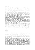 [지주회사][지주회사 형태][지주회사 설립금지제도][지주회사 자금조달][지주회사 방향][설립금지제도]지주회사의 개념, 지주회사의 형태, 지주회사의 설립금지제도, 지주회사의 자금조달, 향후 지주회사의 방향-12