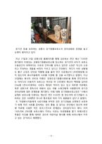 사업계획서- 유기견 체험분양 전문업체 창업 사업계획서-13