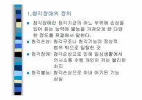 [특수유아교육] 청각장애아-3
