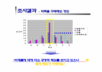 [광고심리학]미국에 대한 부정적 이미지와 구매태도의 연관성 분석-14