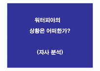 [마케팅]방향제 시장에서 중소기업 돌파구를 위한 마케팅 제안서-13
