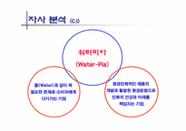 [마케팅]방향제 시장에서 중소기업 돌파구를 위한 마케팅 제안서-14