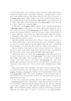 [인터넷언론 정치]인터넷 언론과 정치-4