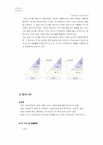 [국제경영] HP의 글로벌화-14