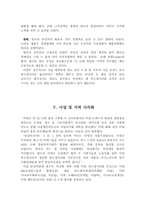 [국제경영사례] 대상그룹의 인도네시아진출과정-19