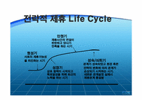 [국제마케팅] 전략적제휴-5