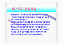 [마케팅관리] 매스티지마케팅-3