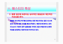 [마케팅관리] 매스티지마케팅-6