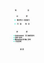 [마케팅성공사례] 메가박스 마케팅성공사례-2