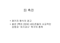 [마케팅성공사례] 싸이월드의 성공사례-13