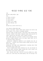 [마케팅성공사례] 애니콜 마케팅성공사례-2