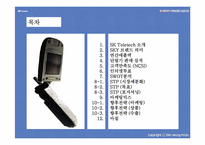 [마케팅성공사례] SK텔레텍 스타이SKY 성공사례-2