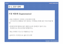 [마케팅성공사례] SK텔레텍 스타이SKY 성공사례-10