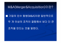 [인수합병] M&A전략-3