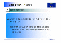 유럽연합 레포트-11