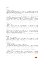 [국제경영] 맥도날드와 버거킹의 프랜차이즈전략과 국내시장진입전략-10