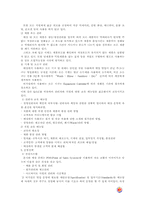 [국제경영] 맥도날드와 버거킹의 프랜차이즈전략과 국내시장진입전략-11