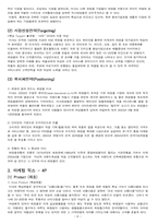 [마케팅성공사례] 온라인화장품 `미샤` 마케팅성공사례-10