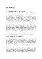 [마케팅성공사례] 현대자동차 EF쏘나타에 대해서-3