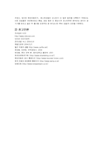[마케팅성공사례] 현대자동차 EF쏘나타에 대해서-11