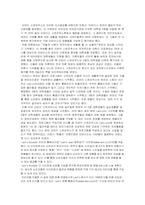 [마케팅원론] 리바이스진 미국의 실패 vs 한국의 성공-8