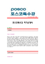 [포스코특수강자기소개서] 포스코특수강 합격자 자기소개서예문_포스코특수강합격자소서샘플_포스코특수강(재무팀)공채입사지원서_포스코(재무)자기소개서(자소서)견본-1