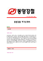 [동양강철자기소개서] 동양강철 합격자 자기소개서예문,동양강철합격자소서샘플,동양강철(재무)공채입사지원서,동양강철자기소개서견본,동양강철자소서양식-1