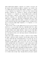 LG스마트폰 옵티머스 시리즈 마케팅전략분석과 현재 옵티머스 상황분석및 옵티머스 새로운 마케팅전략 방안제안-2