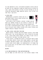 LG스마트폰 옵티머스 시리즈 마케팅전략분석과 현재 옵티머스 상황분석및 옵티머스 새로운 마케팅전략 방안제안-11