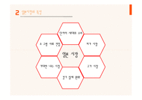 일본시장의 특징과 진로와 현대차의 일본시장 진출사례 분석-4