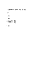 사회복지조사의 정의와 기능 및 역할-1