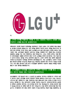[LG유플러스-최신공채합격자기소개서]LG유플러스자기소개서자소서,LGU+자소서자기소개서,엘지유플러스자소서합격자기소개서,LG유플러스자기소개서자소서-4