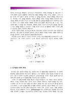 [인간과교육]1.현대사회에서 평생교육의 필요성이 강조되는 이유 설명 2.피아제(Piaget)의 인지발달단계이론에 대해 설명하고 그 교육적 시사점-10