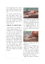 한국농수산대학 포트폴리오(농업관련 활동 포트폴리오)-2