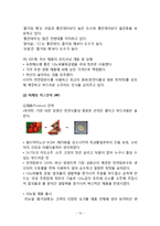 즐거워예 마케팅전략 분석및 즐거워예 새로운 대안과 나아가야할 방향-15