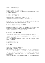 [서비스 사업][서비스][사업][DMB][무선인터넷][이동통신][인터넷통합]DMB 서비스 사업, 무선인터넷 서비스 사업, 이동통신 서비스 사업, 인터넷통합 서비스 사업, 육아 서비스 사업, 아동복지 서비스 사업 분석-11