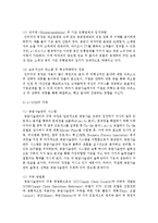 [물류관리 3공통] (1) e-SCM과 APS에 대해 설명하고, (2) e-SCM과 APS가 어떻게 통합되어야 하는가를 논하라-6