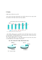 이마트 해외시장진출위한 마케팅전략 분석(이마트 인도시장진출전략)-12