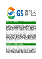[GS칼텍스-최신공채합격자기소개서]GS칼텍스자소서,GS칼텍스자기소개서,지에스칼텍스자소서,GS칼택스합격자기소개서,GS칼텍스합격자소서-4