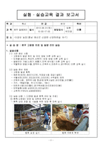 한우질병관리-고창증 치료 시술-2
