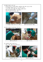 한우질병관리-고창증 치료 시술-3