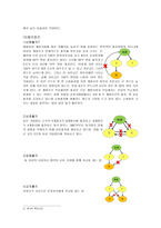 [방통대 2013-2 금융제도론 A형]우리나라 금융지주회사의 특징과 현황을 조사·정리해보시오. -3